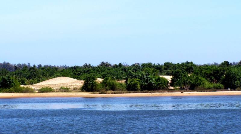 P1240265-1.jpg