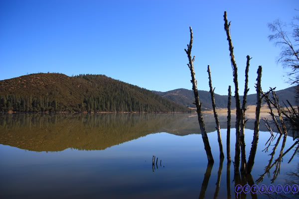 shangri-la221.jpg