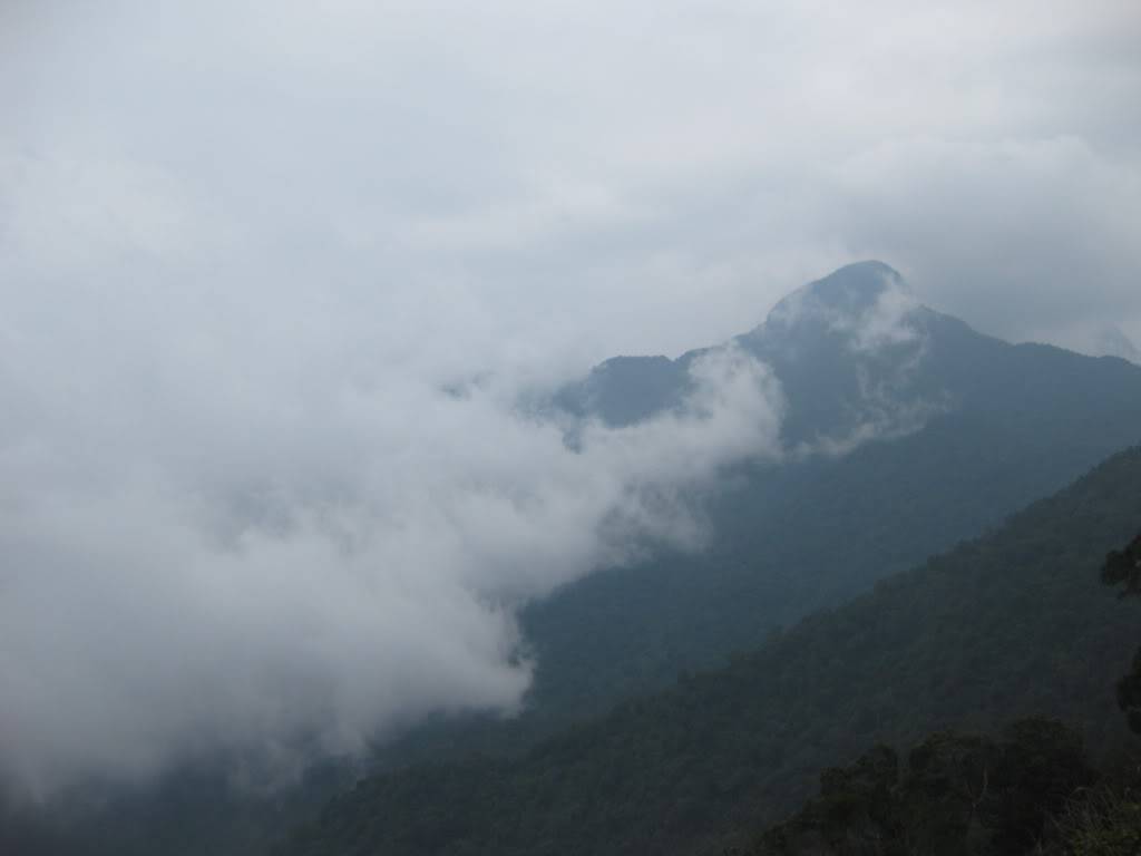 IMG_0746-1.jpg