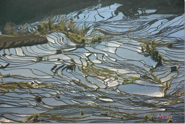YY059.jpg
