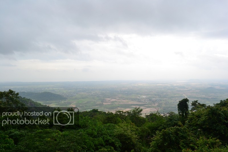 DSC_0098Copy.jpg