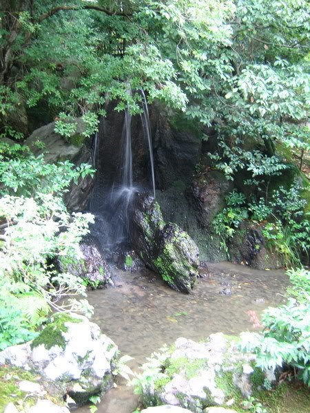 IMG_1211_resize.jpg