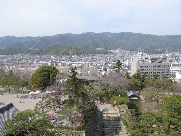 IMG_1391_resize.jpg