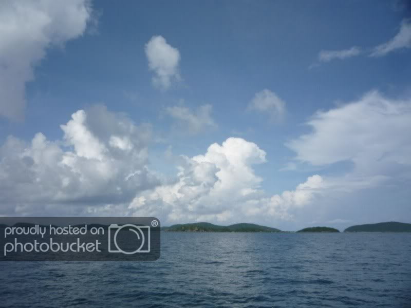 P1010429DesktopResolution800x600.jpg