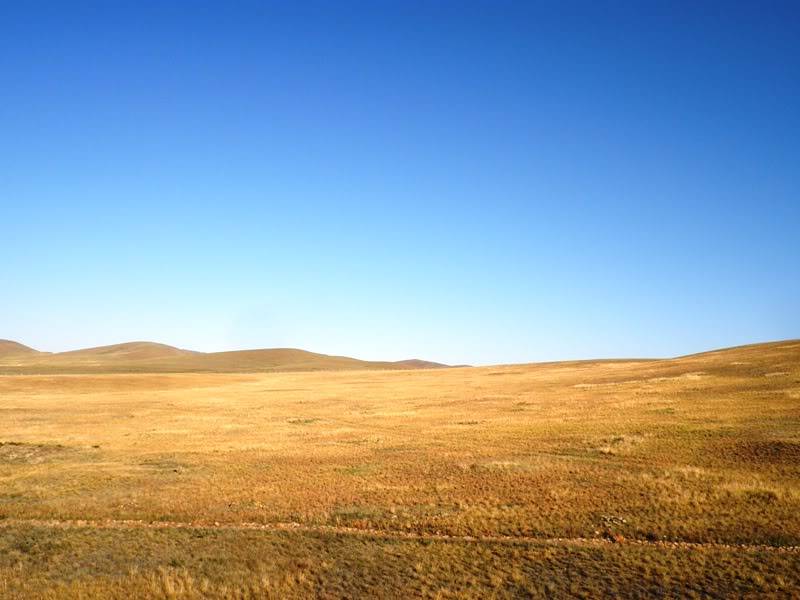 P9100037.jpg