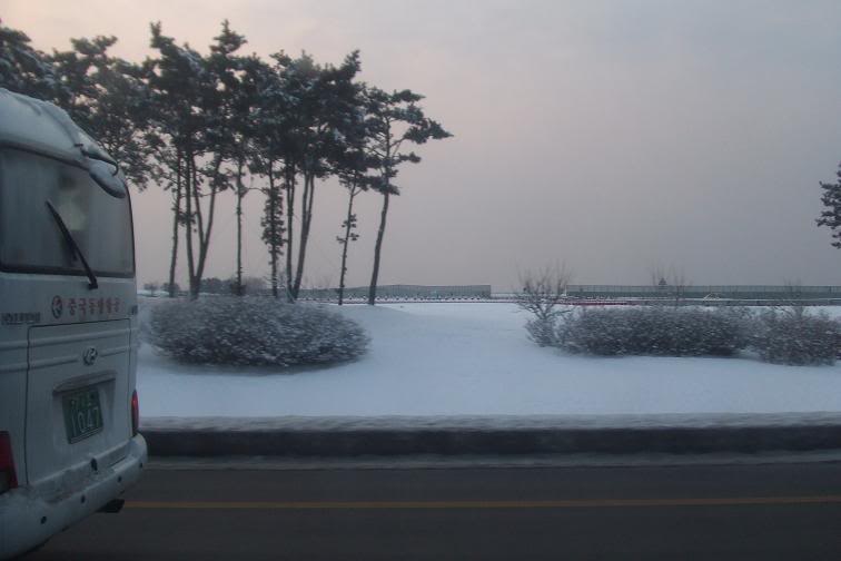 DSCF1196.jpg