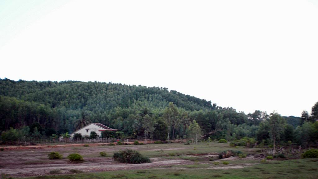 306.jpg