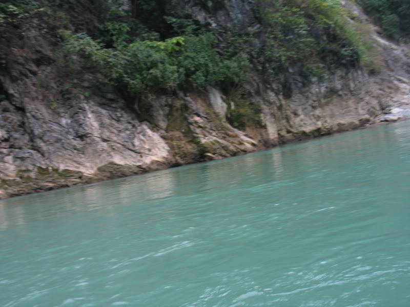 IMG_9328.jpg