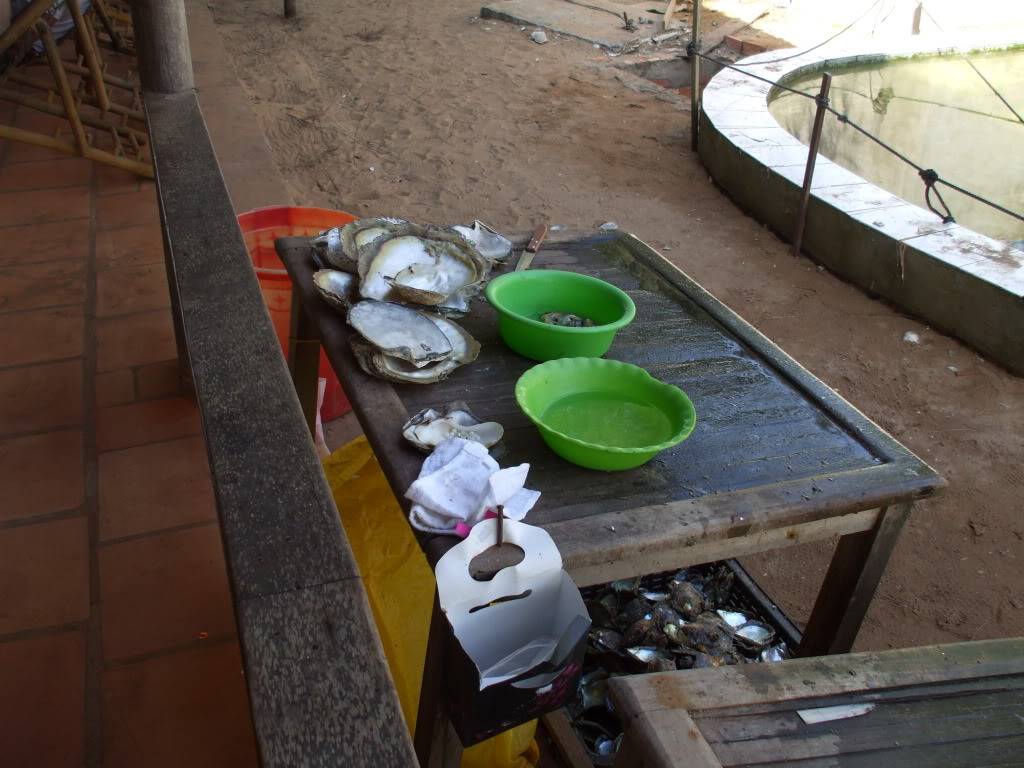 DSCF5042.jpg