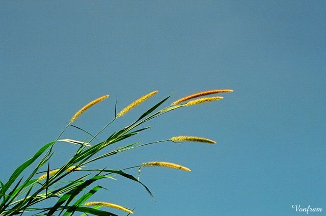 00041-24.jpg