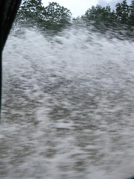 IMG_6531Medium.jpg