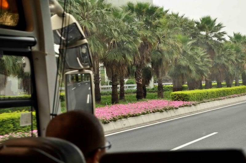 quangzhou10.jpg