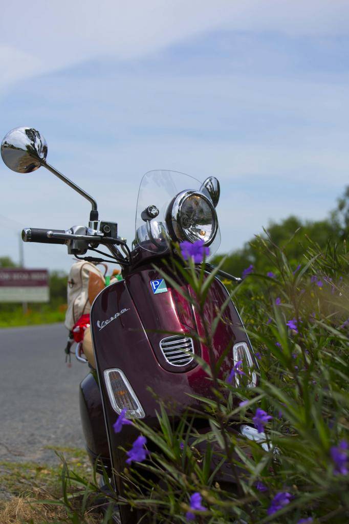 Vespa3.jpg