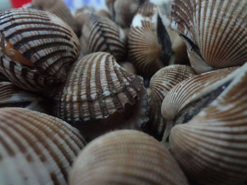 DSC06901.jpg