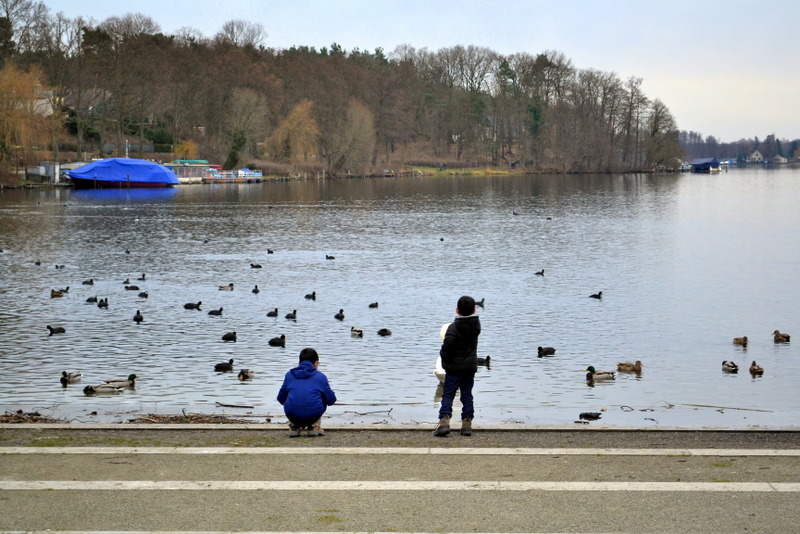 DSC_0420.jpg