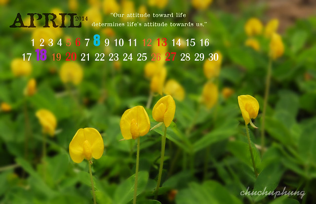 13709803393_c5ecef4c10_z.jpg