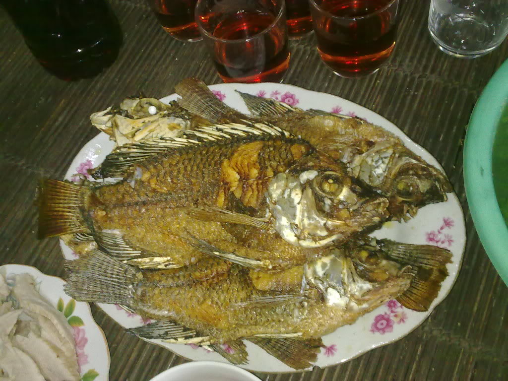 14052011818.jpg