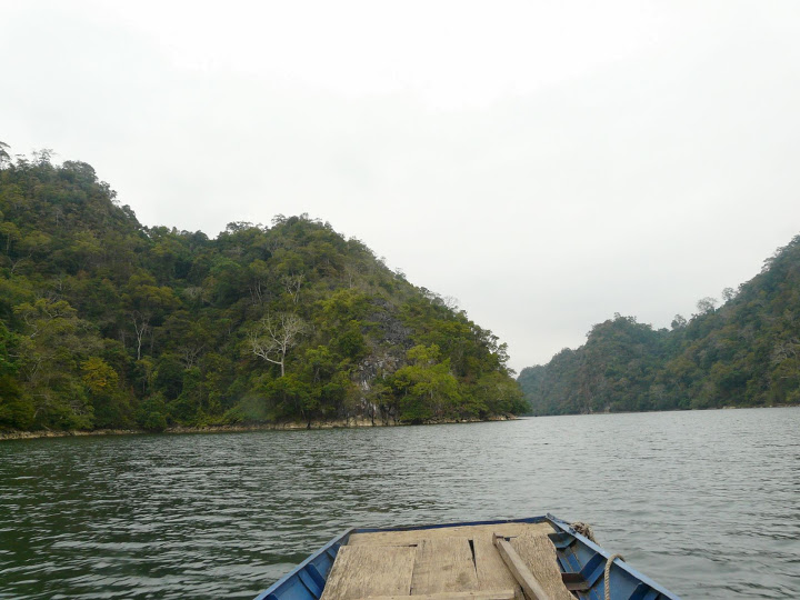 P1050529.JPG