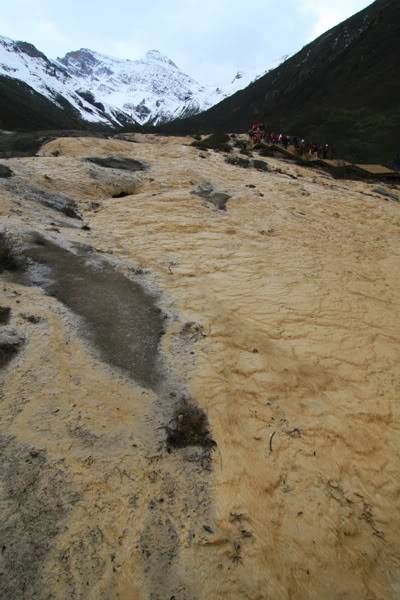 hoanglong55.jpg