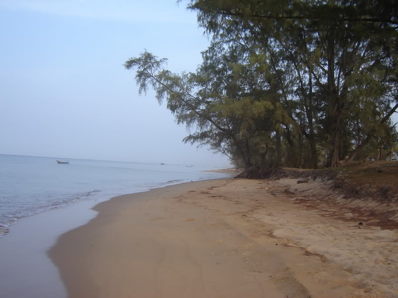 DSC06230_resize.jpg