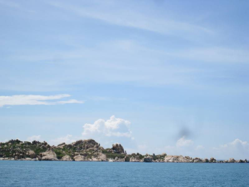 IMG_3291.jpg
