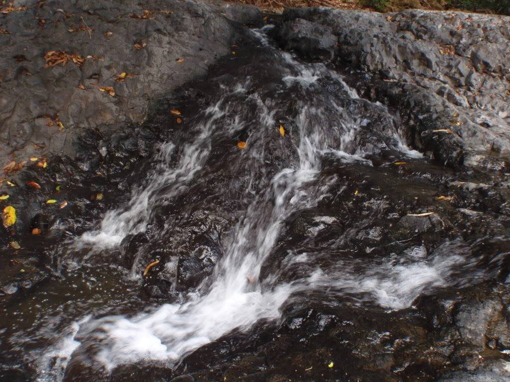 P3100059.jpg