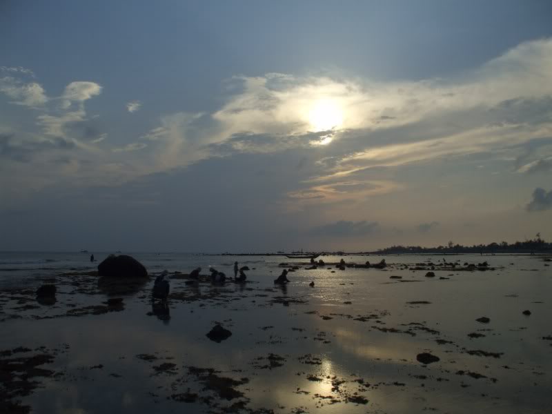 DSCF7114.jpg