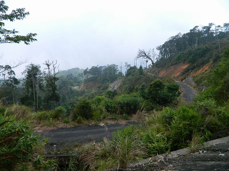 DSCN2599.jpg