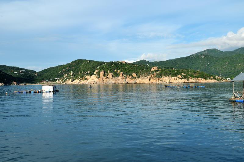 PMT_1679.jpg
