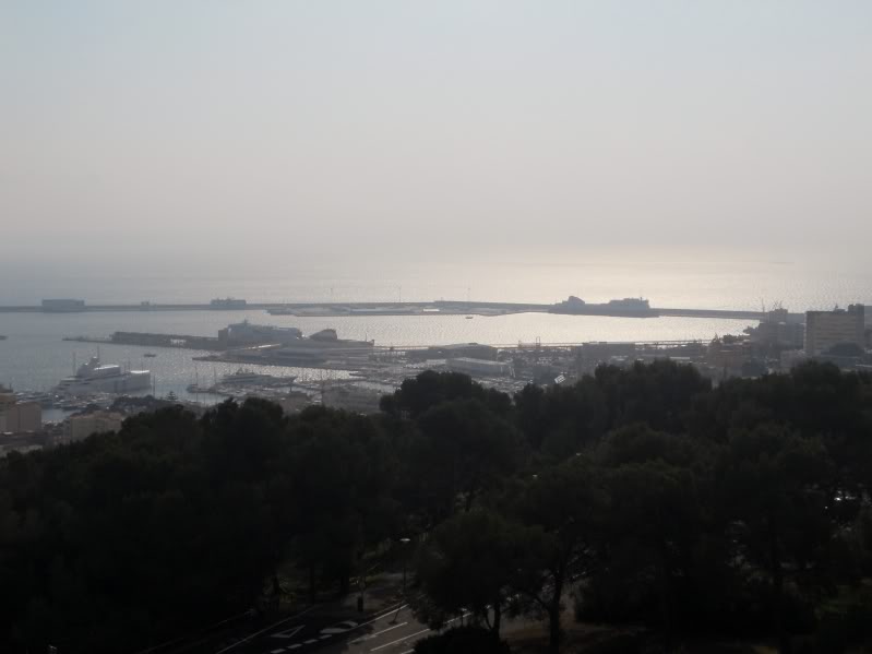DSCN6617.jpg