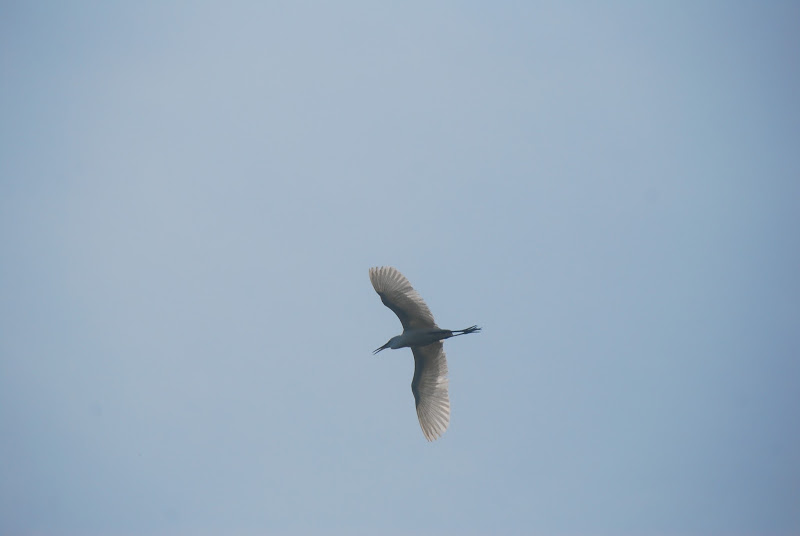 DSC_1076.JPG