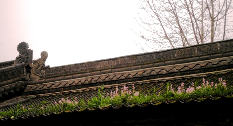 5616064384_10a173c098_b.jpg