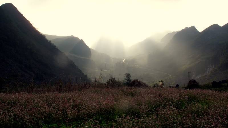 IMG_0297.jpg