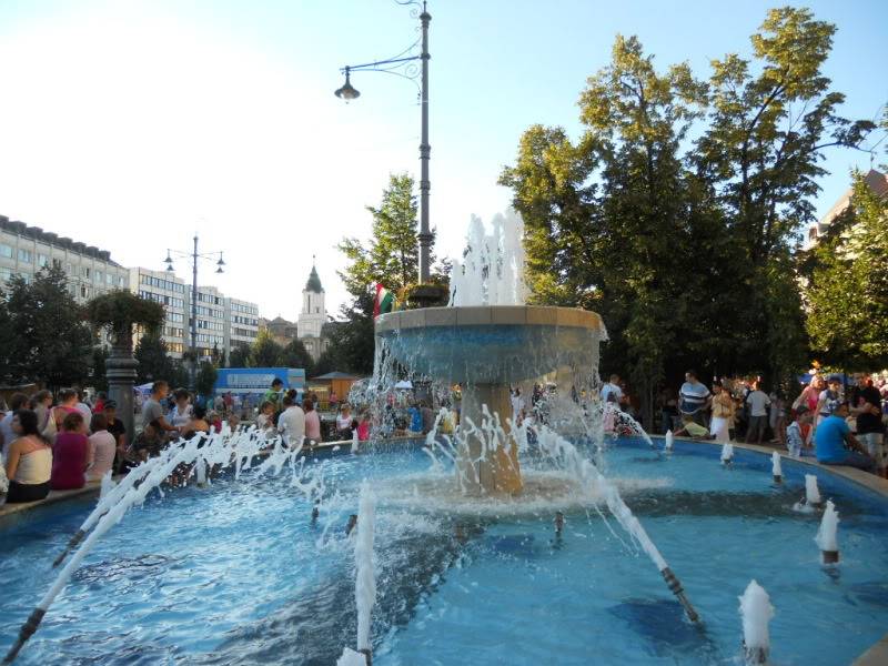 DSCN0589.jpg