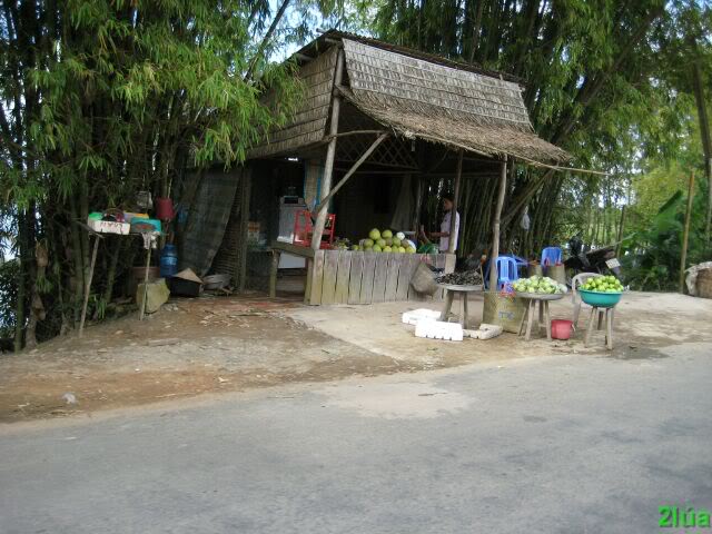 IMG_1951.jpg