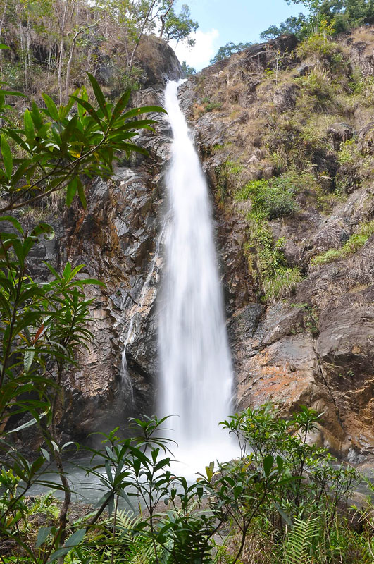 DSC_8956.jpg
