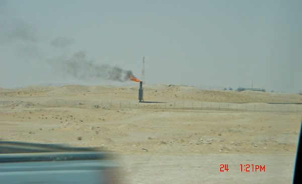 DSC00040.jpg