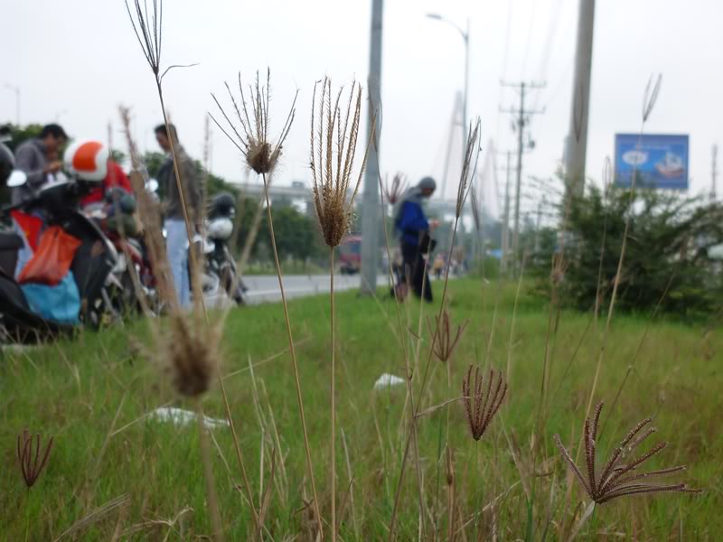 P1010428.jpg
