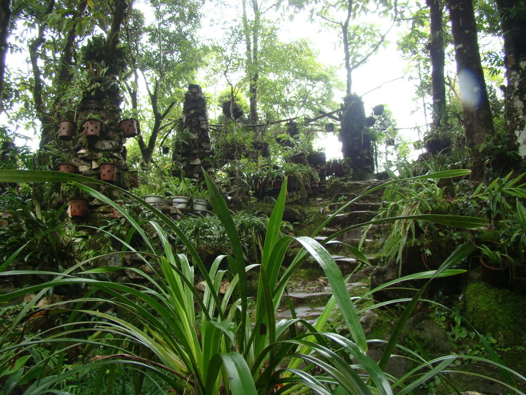 DSC09483.jpg