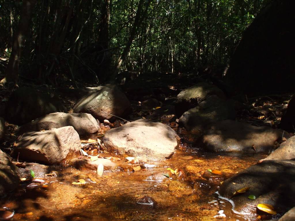 DSCF5105.jpg