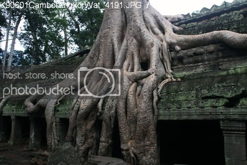 K90601CambotAngkorWat_4191.jpg
