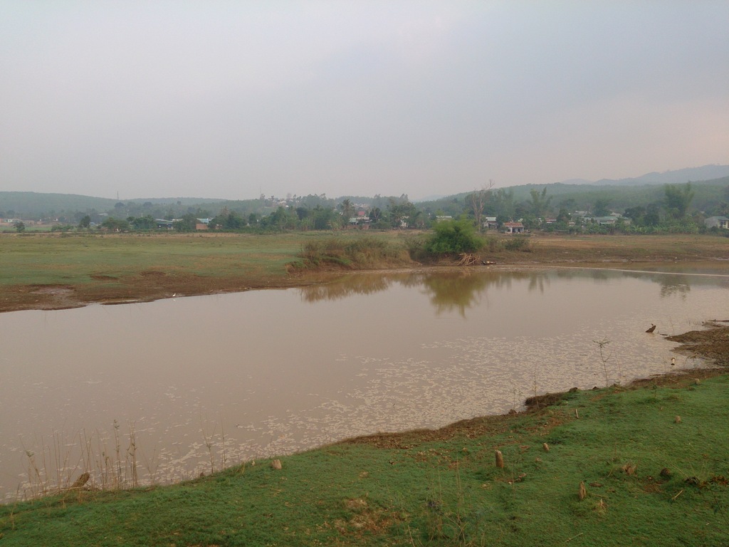 DSC_1539_zpsm7gfwzha.jpg