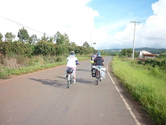 P1360998.jpg