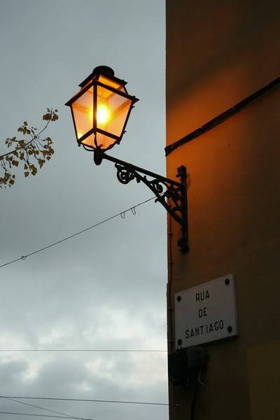 IMG_4169_resize-1.jpg