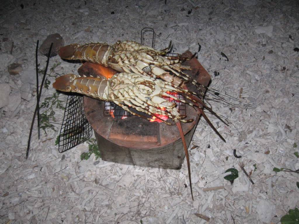 IMG_1449.jpg