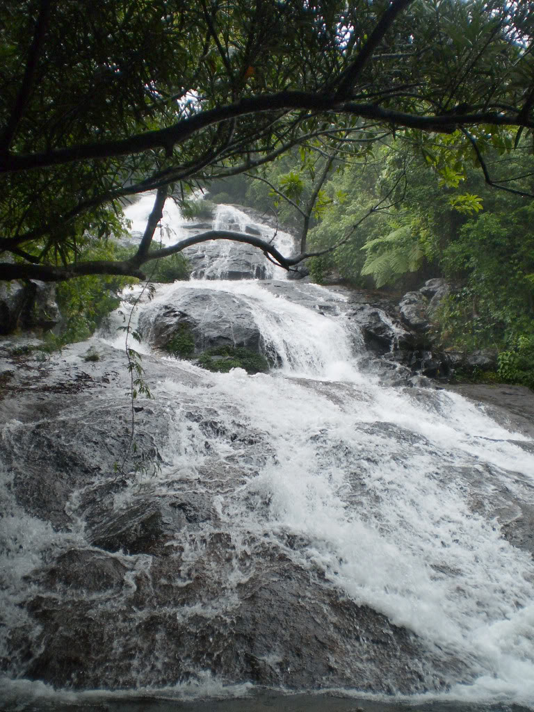 P4280078.jpg