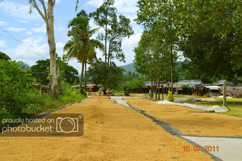 DSC_1808.jpg
