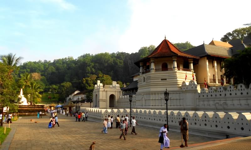 DSCN8455-1.jpg