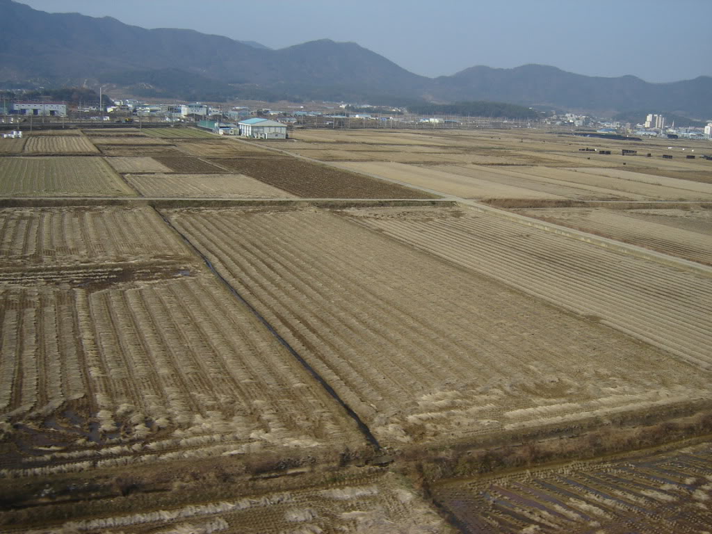 DSC09048.jpg