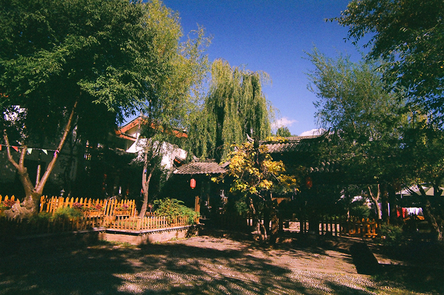 6331066493_d03b5b5e2c_o.jpg